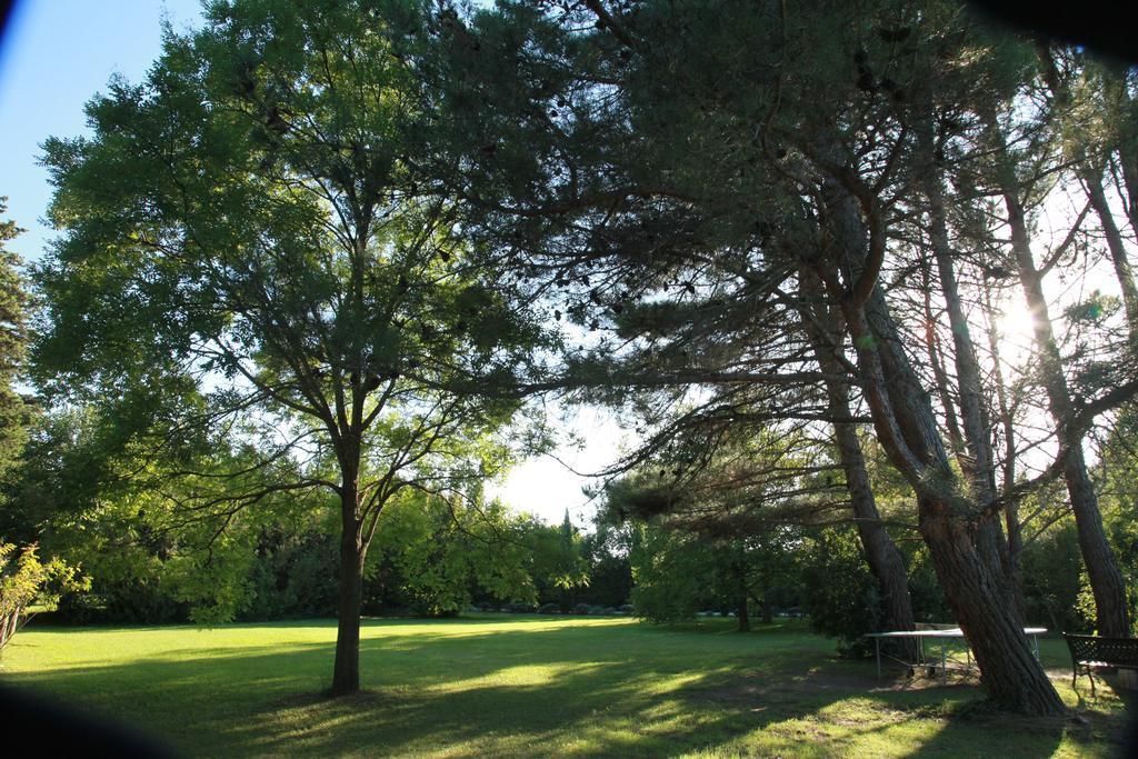 Mas La Provence Bed & Breakfast LʼIsle-sur-la-Sorgue Exterior foto
